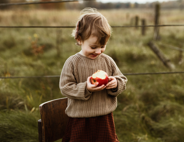Zdjęcie z warsztatu Emel